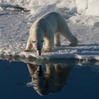 Arctic seafloor sediment key to atmospheric carbon recycling